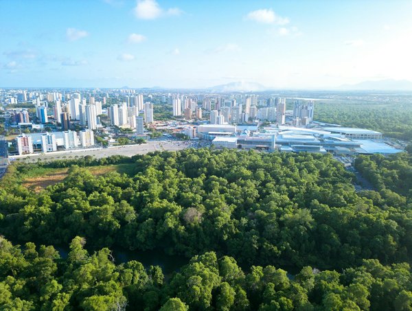 Incontournables Festivals et Conventions de Jeux de Rôles : Ne Ratez Pas Ces Événements !